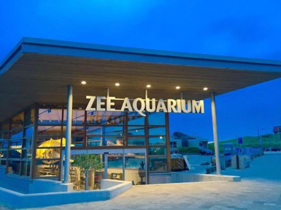 Wind - Modern Beach House Bergen aan Zee Exterior foto